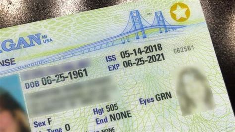 Nonbinary Designation Added For Michigan Drivers Licenses Wwmt