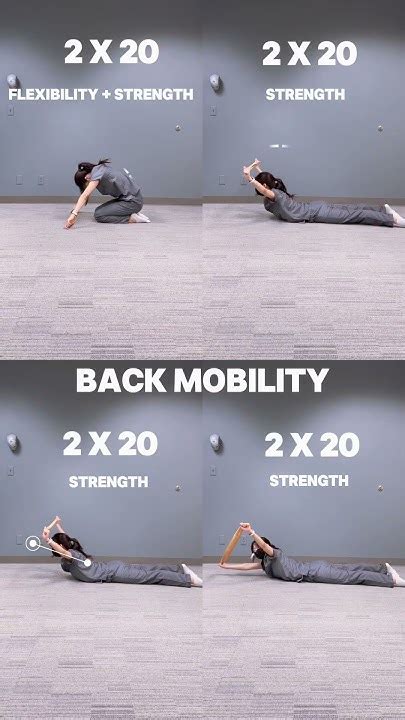 Lower Back Mobility Youtube