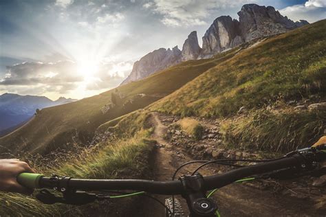 absolute  trail cameras  buy   manual