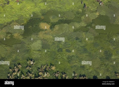 Aerial View Of Meadow In Marshy In Summer Stock Photo Alamy