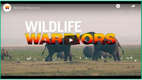 Cultivating Wildlife Warriors - wildlifedirect