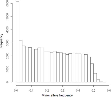 Histogram Of Distribution Of Minor Allele Frequency In Genotypes