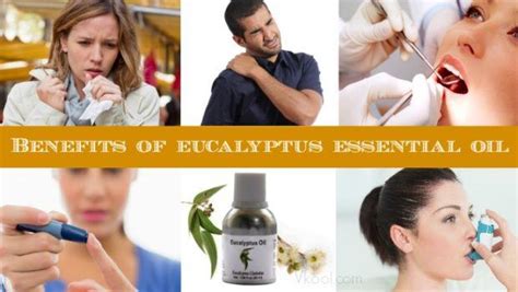 top  eucalyptus essential oil benefits  hair skin health
