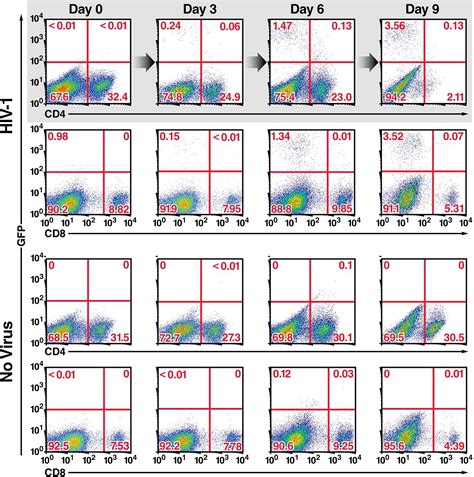 Abortive Hiv Infection Mediates Cd4 T Cell Depletion And Inflammation In Human Lymphoid Tissue Cell