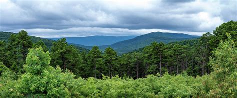 Ouachita National Forest Photograph by James Barber