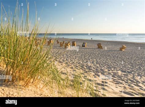 Paisaje de dunas al atardecer fotografías e imágenes de alta resolución