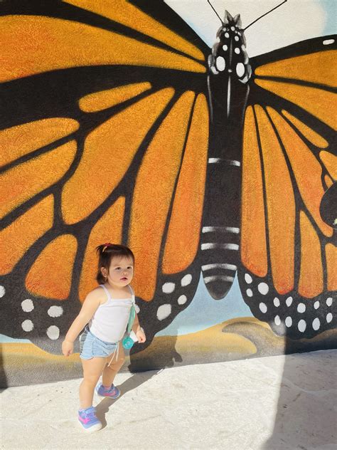 Interactive Butterfly Mural By Mural Artist Georgeta Fondos