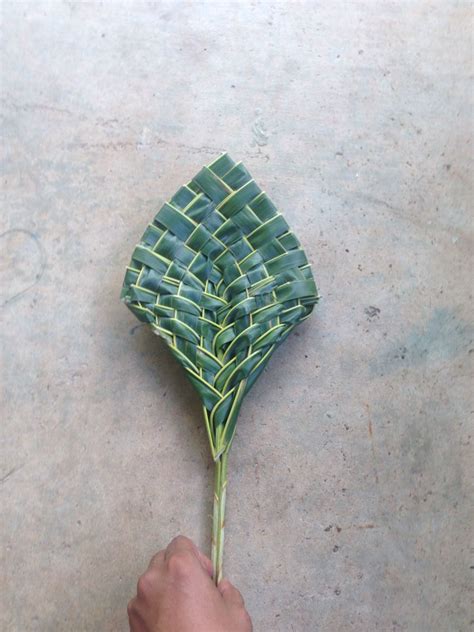 Completed Fan Palm Leaf Art Leaf Crafts Palm Leaf Baskets