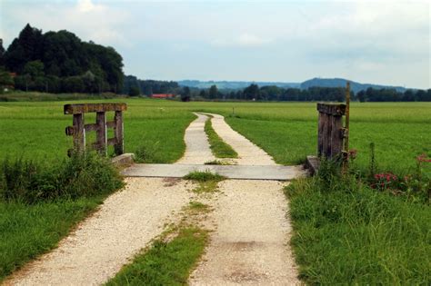 The Roads Well-Traveled: The History of America's Transportation Infrastructure - Petroleum ...