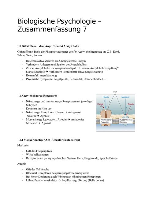 7 Vorlesung 7 Zusammenfassung Biologische Psychologie Biologische