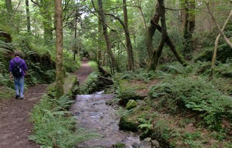 Rostrevor Holidays And The Local Area Mourne Mountains