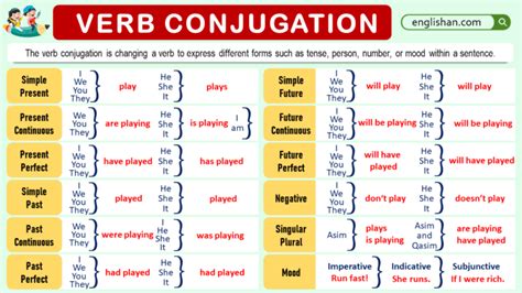 Verb Conjugation Examples • Englishan