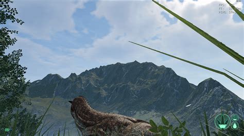 Got this beautiful picture in the isle as a carno... shoulda turned ...