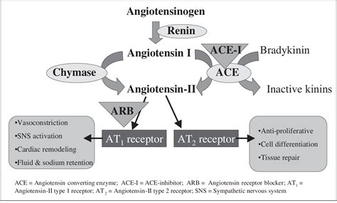 Angiotensin Receptor Blockers