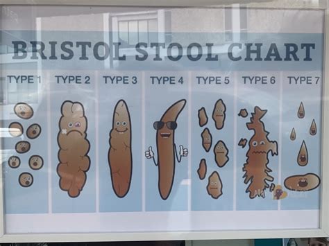 Funny Signs Bristol Stool Chart Funny