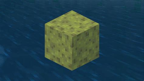 How To Get Sponges In Minecraft Charlie Intel