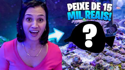 PAGAMOS 15 MIL REAIS EM UM PEIXE PARA O AQUÁRIO MARINHO YouTube