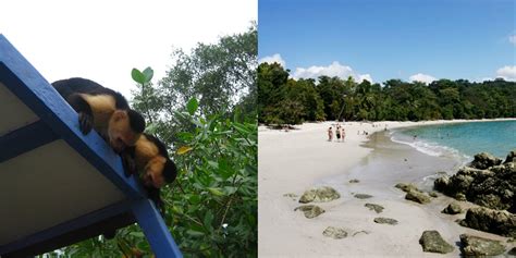 Monkey Tour + Manuel Antonio - Costa Rica Daily Tours - Adventure