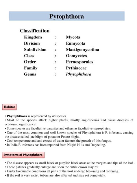 Life Cycle Of Phytophthora Pdf Organisms Plants