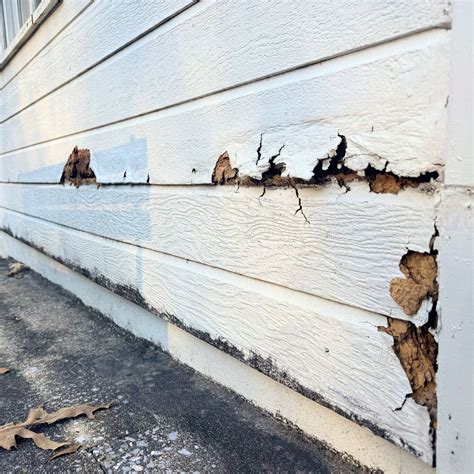 Prevent Your Siding From Rotting At The Bottom