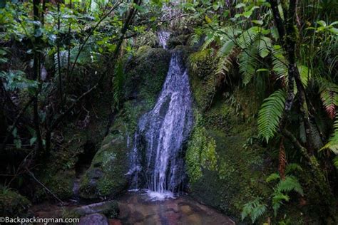 35 Images Of New Zealand's Nature To Inspire You To Visit