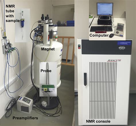 Applications Of 1H Nuclear Magnetic Resonance Spectroscopy In Clinical