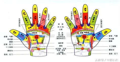 教你如何從手掌中看疾病，看身體的健康狀態，準確率高達90 穴道經絡引導