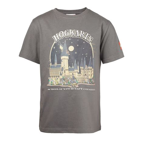 Harry Potter™ T-Shirt Gray 5008033 | Harry Potter™ | Buy online at the
