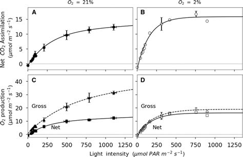 Light Response Of Net Co Assimilation And Nop For French Bean Leaves