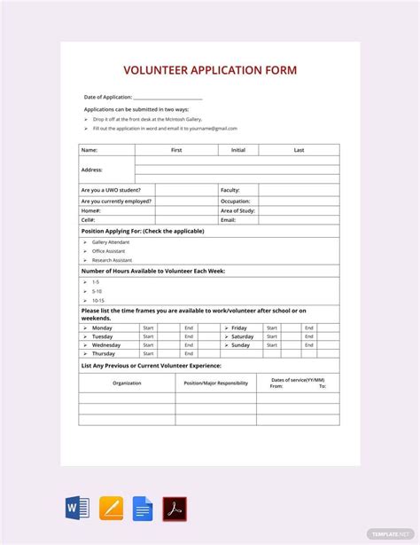 Volunteer Application Template In Word Pages Pdf Google Docs