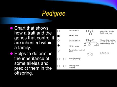 Sex Linked Traits And Pedigrees Ppt Download