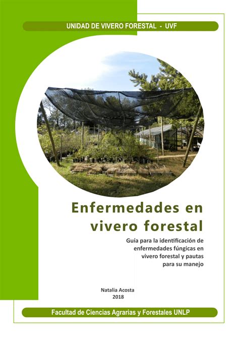 Pdf Enfermedades En Vivero Forestal Gu A Para La Identificaci N De