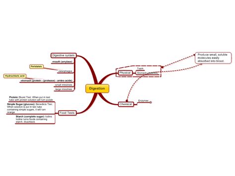 Digestion Gcse Mindmanager Mind Map Template Biggerplate