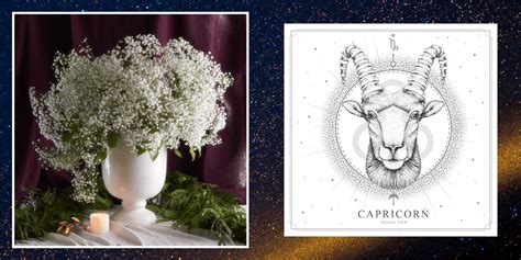 Capricorn Flower Arrangement - Capricorn Floriscope