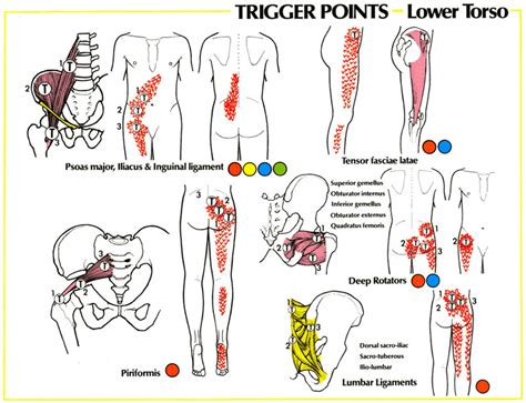 Pin On Trigger Points