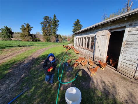 About — Briar Rose Farms