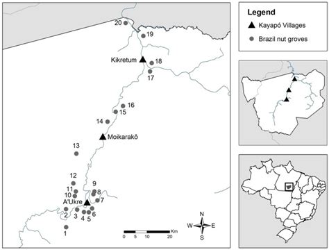 The Triangles Indicate The Location Of The Three Kayapó Villages And