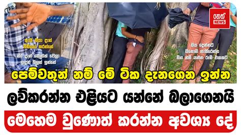 Neth News Sri Lanka Latest Sinhala News And Headlines Sri Lanka