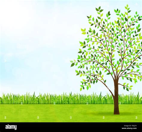 Nature Background With Green Grass And Tree Vector Stock Vector Image And Art Alamy