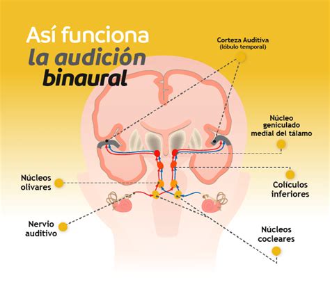 Sonidos Binaurales Experimento D As Escuchando Sonidos Binaurales