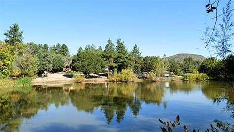 mobile home park in Prescott, AZ: Pine Lakes - Directory 36706