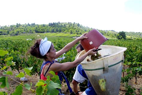 Mulheres No Agroneg Cio Uma Participa O Que Apresenta Crescimento