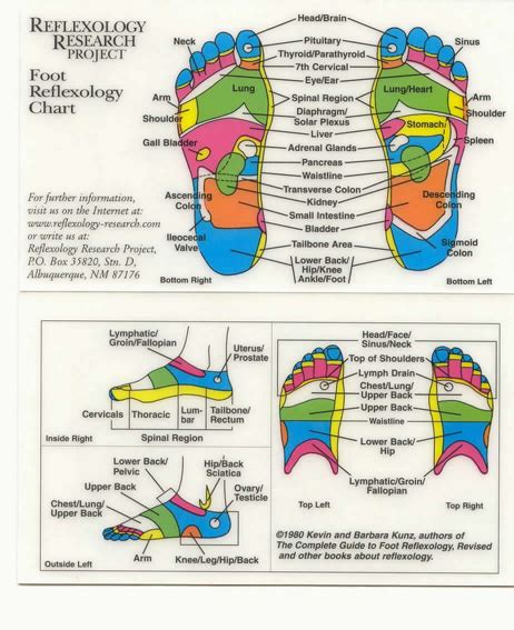 History Of Reflexology Bliss Therapies Dereham