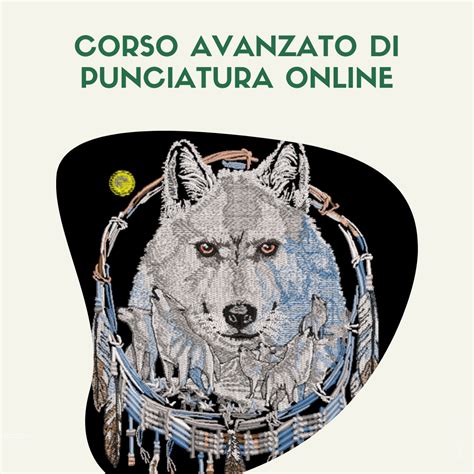 Corso Avanzato Di Punciatura Online Wilcom Embroidery Studio