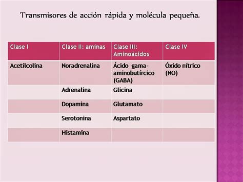 Tabla De Neurotransmisores Blog De Fisiología Médica