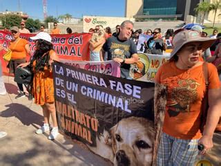 Marchan En Torre N Para Exigir Que Se Endurezcan Penas Por Maltrato Y