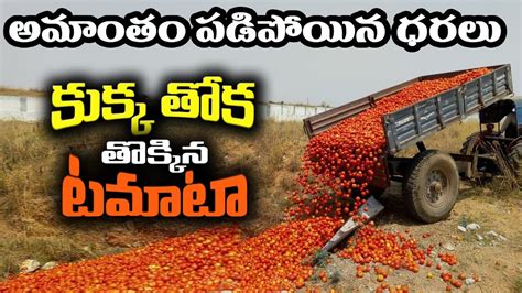 Tomato Price Falls Down To Rs Per Kg In Madanapalle Market Yard