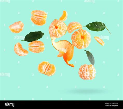 Flying Sweet Peeled Mandarins And Leaves On Turquoise Background Stock