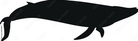 Blue whale vector silhouette Stock Vector | Adobe Stock