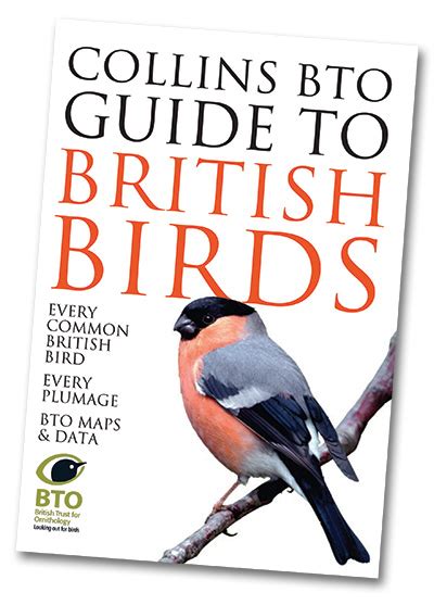 Collins Bto Guide To British Birds Bto British Trust For Ornithology